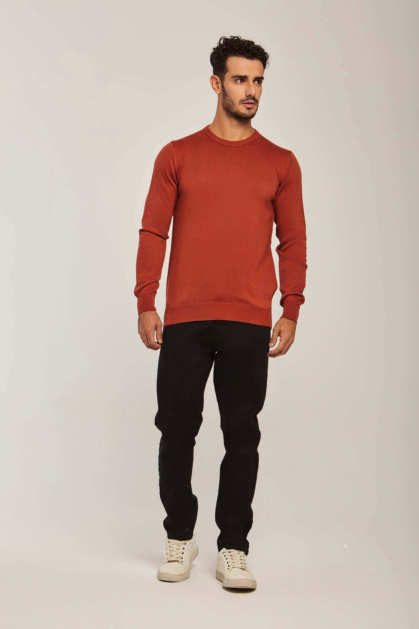 Men Regular Fit Pullover - Brick Red