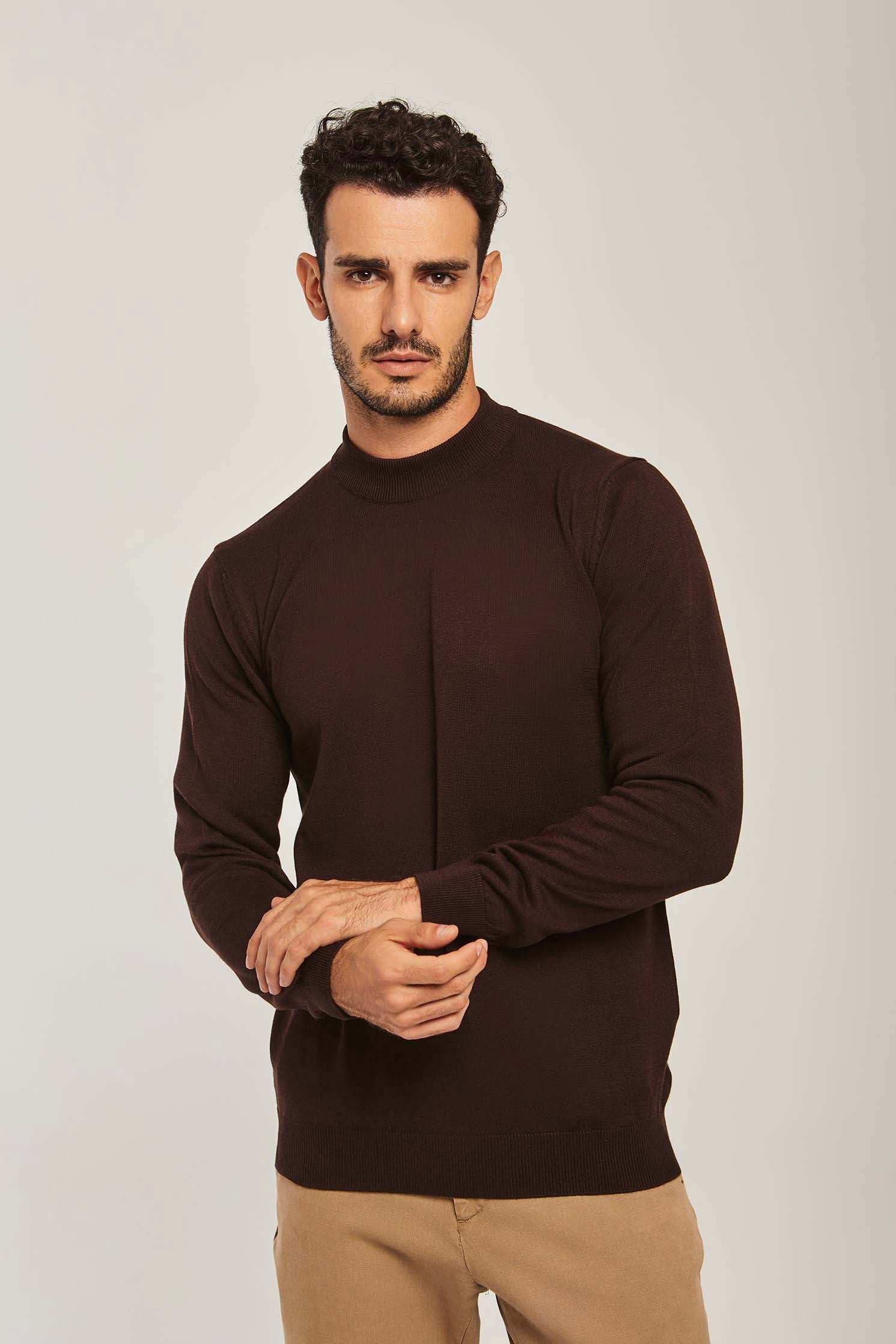 Men Regular Fit Pullover - Brown