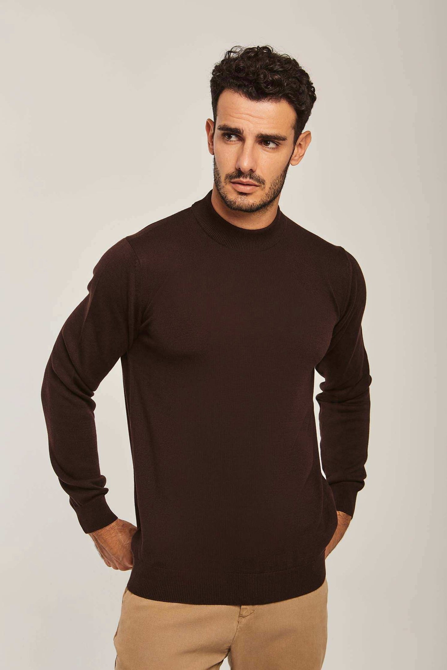 Men Regular Fit Pullover - Brown