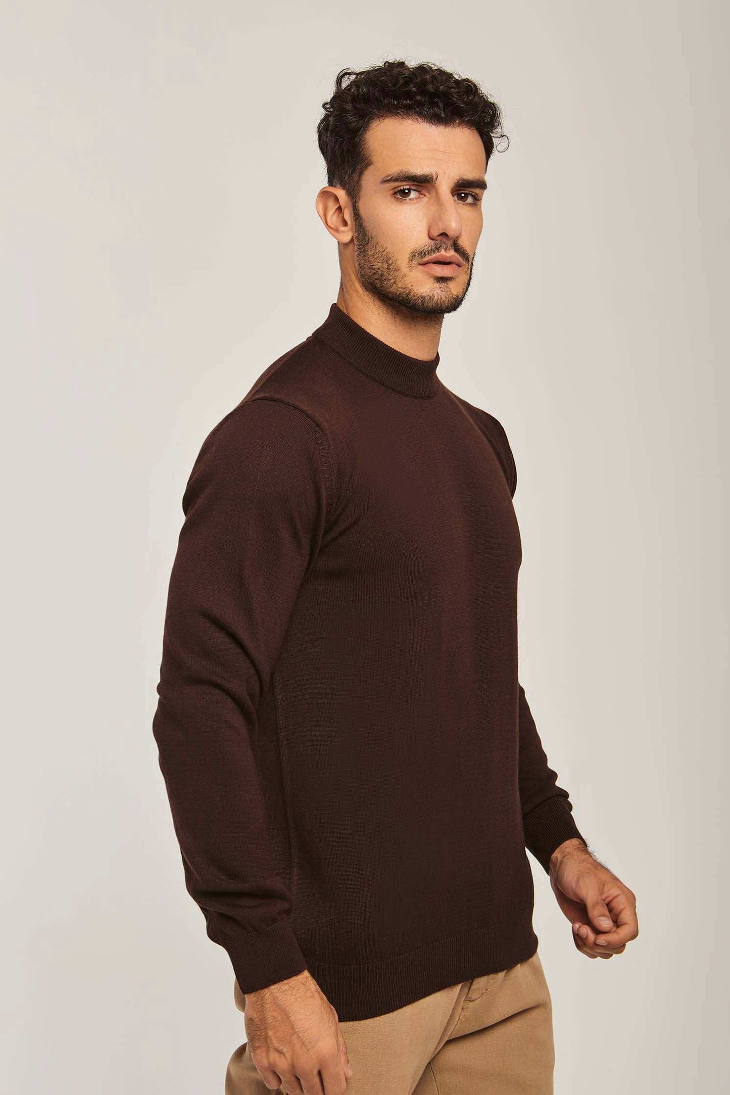 Men Regular Fit Pullover - Brown