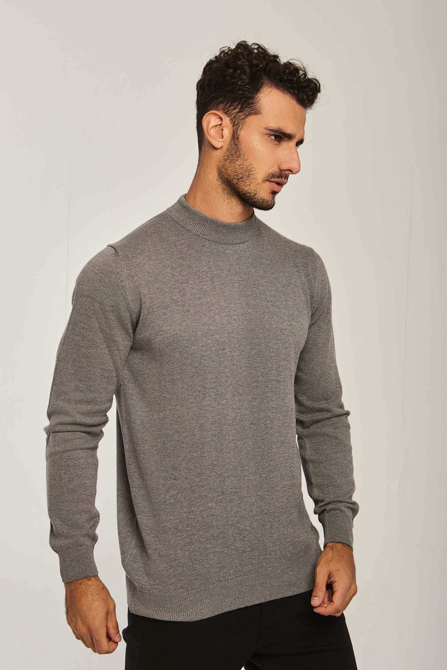 Men Regular Fit Pullover - Grey