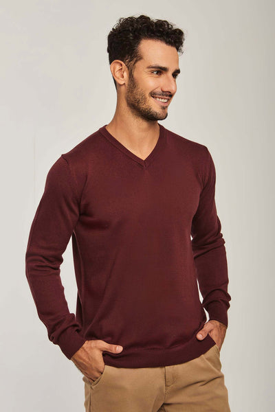 Men Regular Fit Pullover - Red