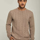 Men Regular Fit Pullover -  Beige