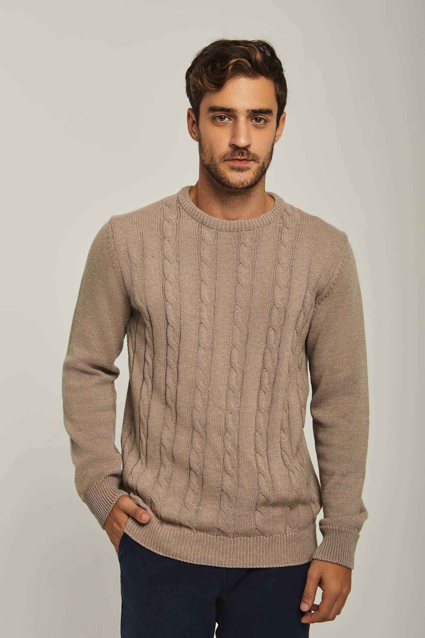 Men Regular Fit Pullover -  Beige