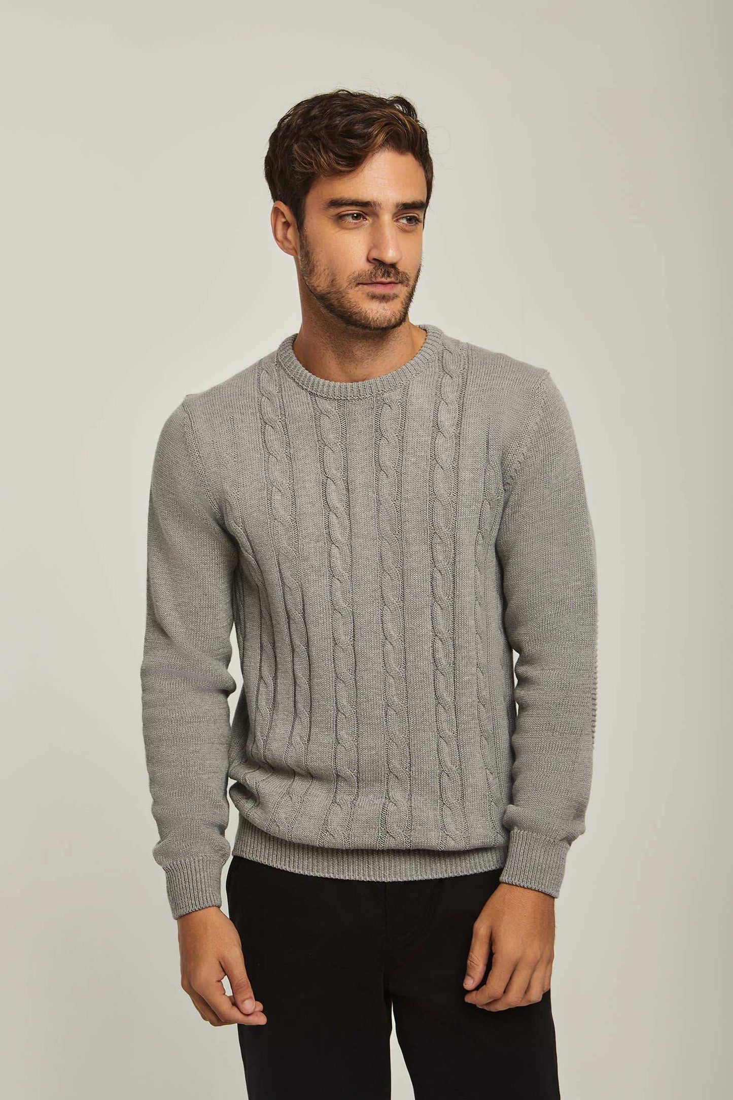 Men Regular Fit Pullover -Grey
