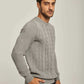 Men Regular Fit Pullover -Grey