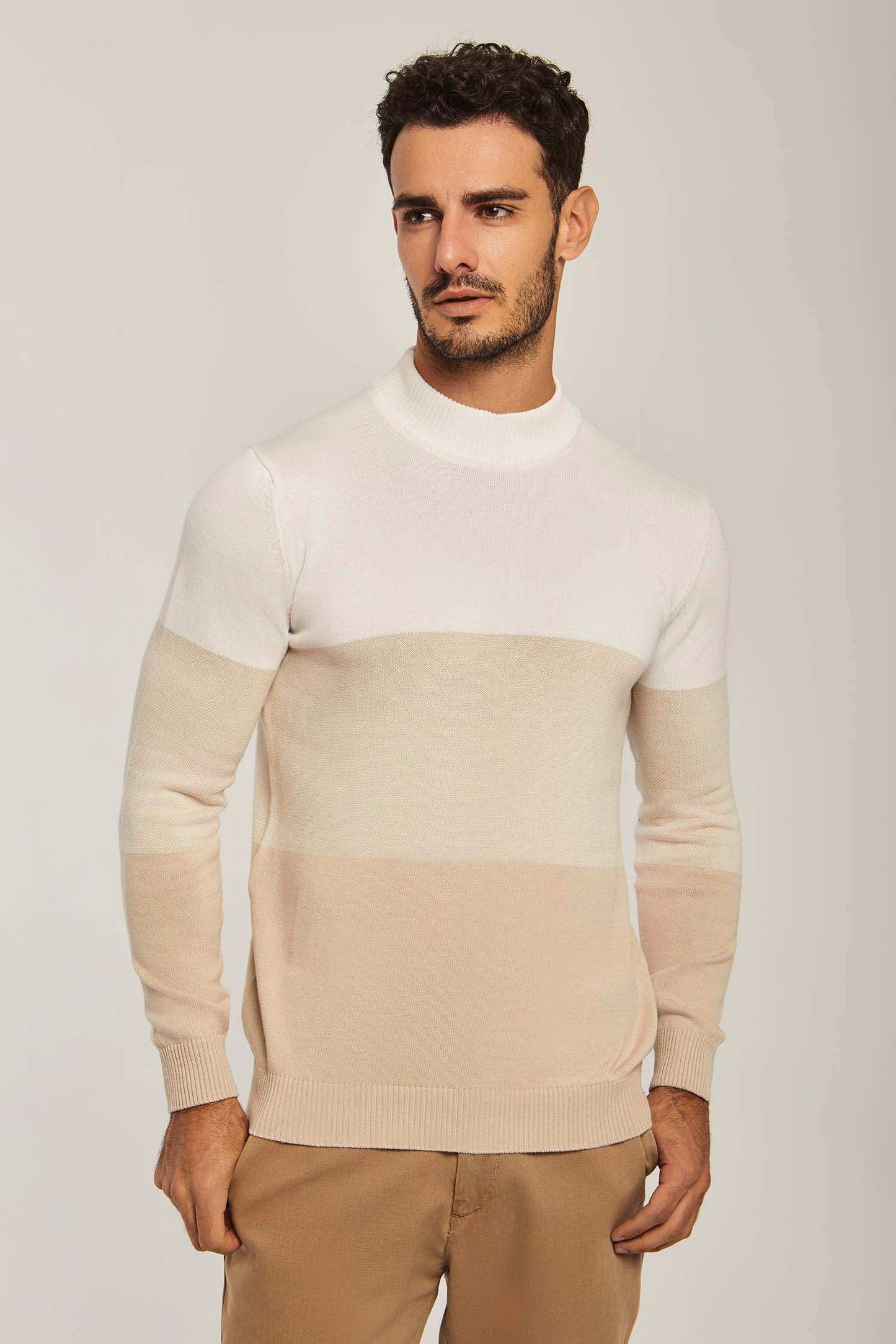 Men Regular Fit Pullover - Beige