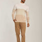 Men Regular Fit Pullover - Beige