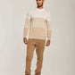 Men Regular Fit Pullover - Beige