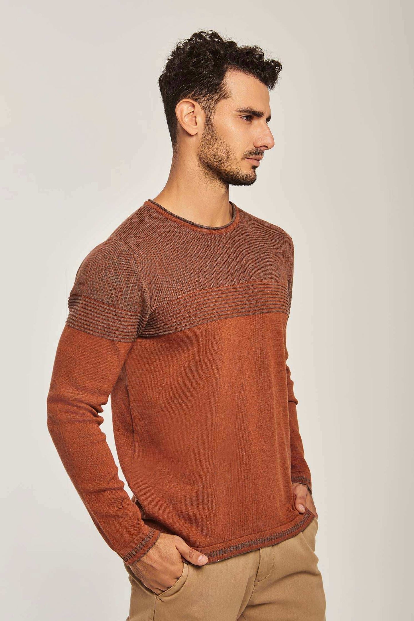Men Regular Fit Pullover - Brown