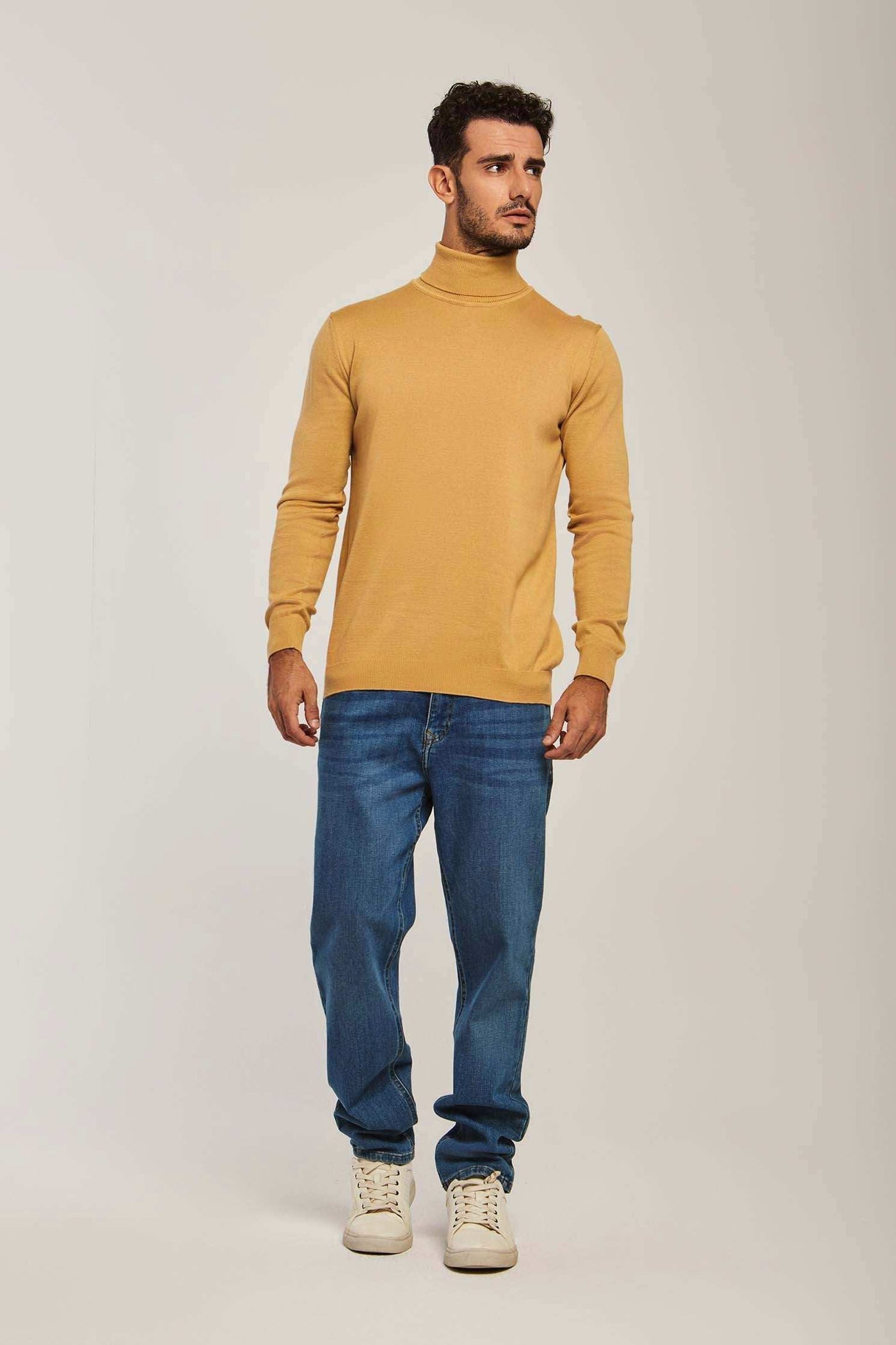 Men Regular Fit Pullover - Brown