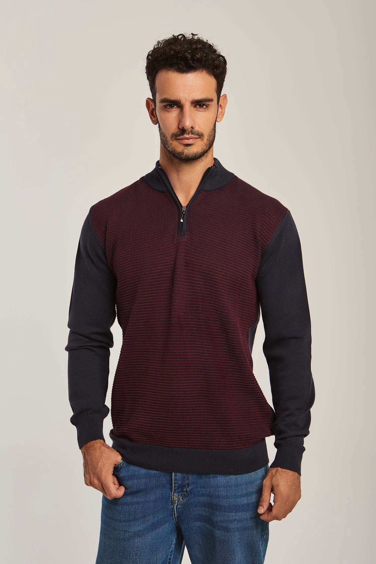 Men Regular Fit Pullover - Blue