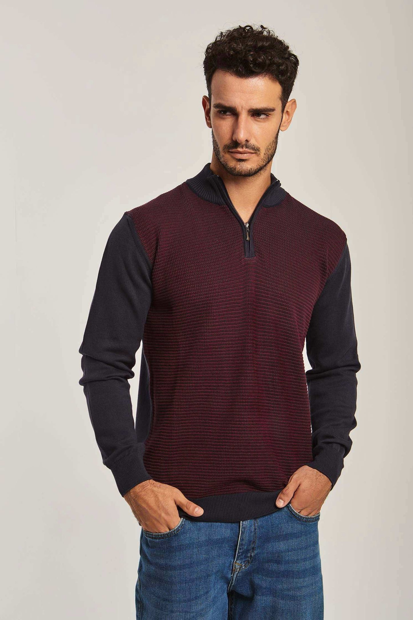 Men Regular Fit Pullover - Blue