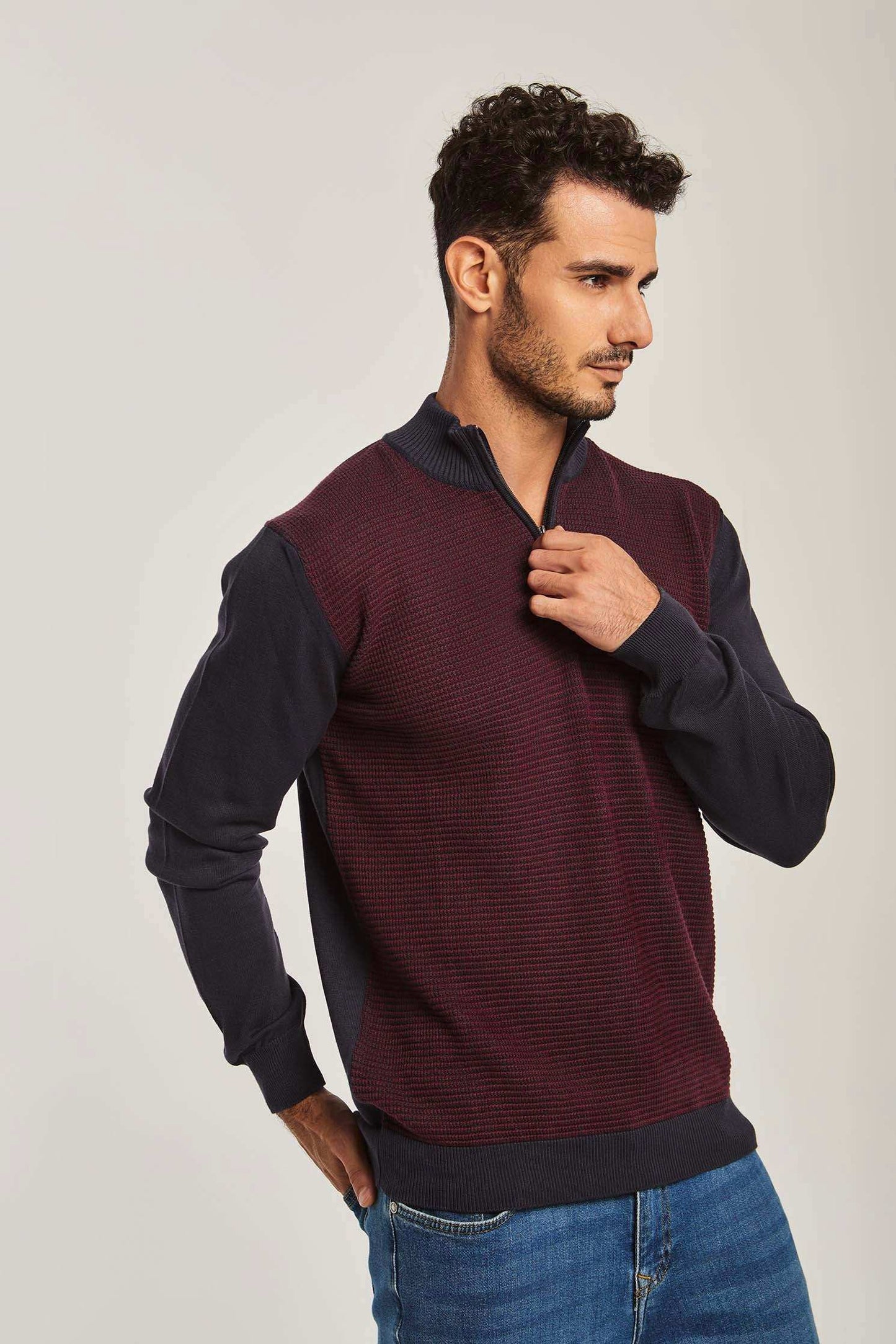 Men Regular Fit Pullover - Blue