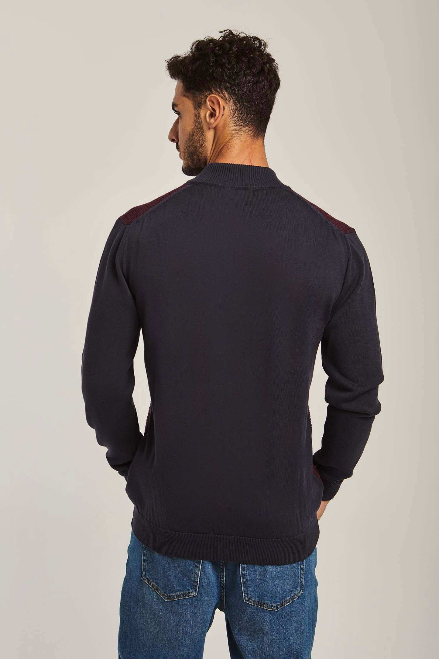 Men Regular Fit Pullover - Blue
