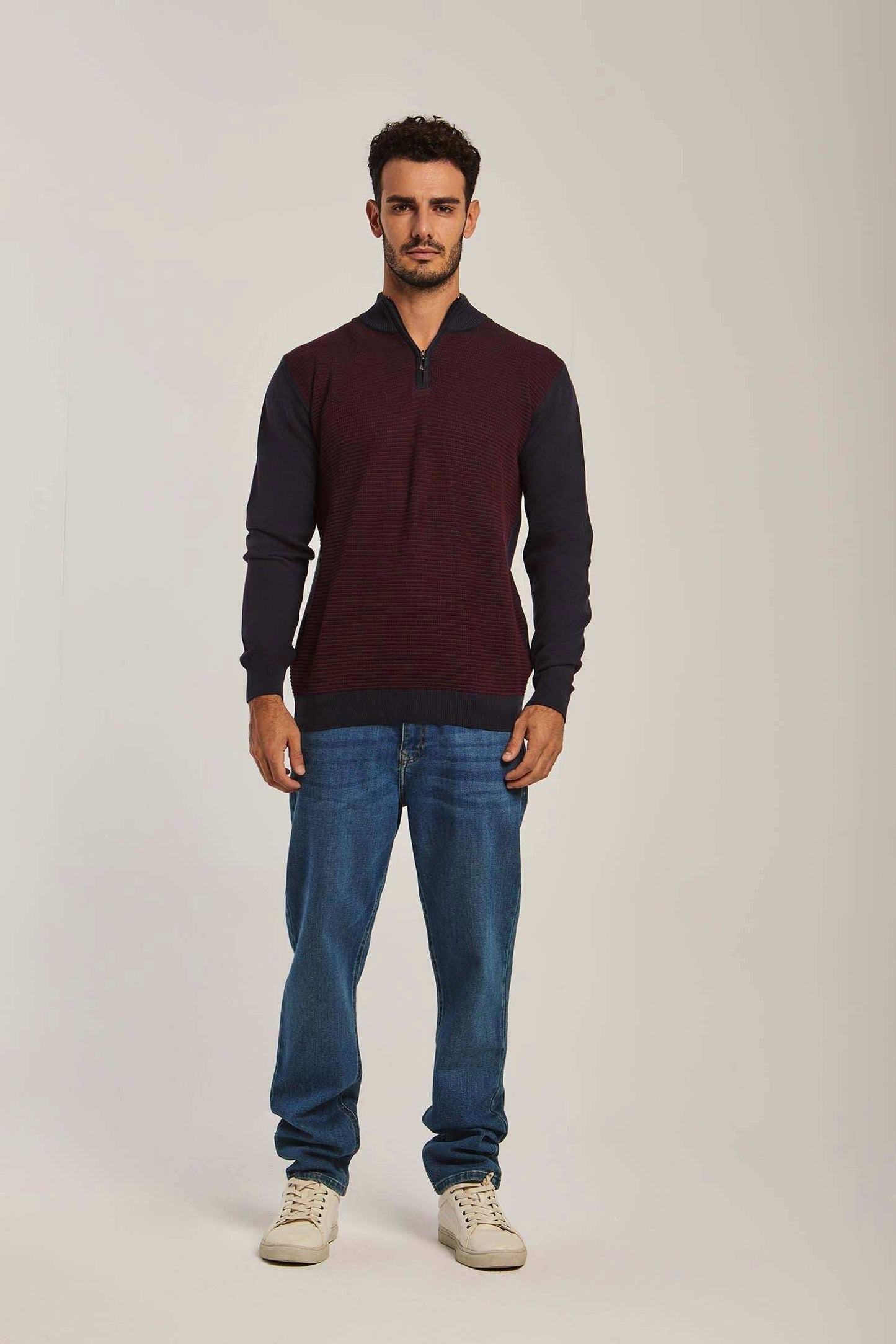Men Regular Fit Pullover - Blue