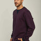 Men Regular Fit Pyjama - Burgundy