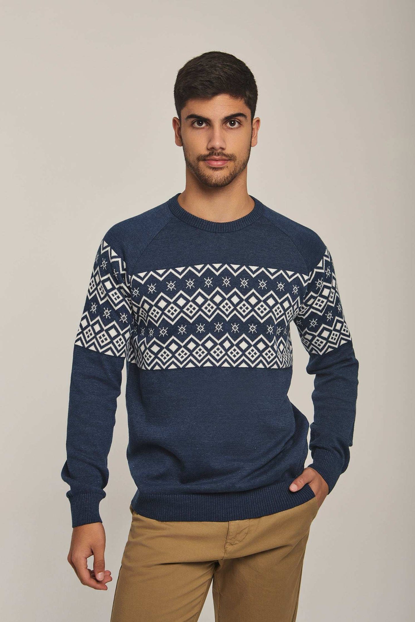 Men Regular Fit Pullover - Printed Multicolorcolor