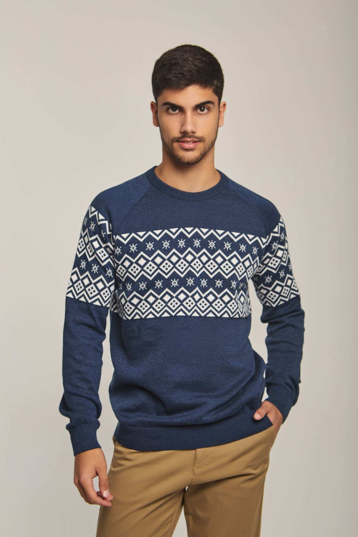 Men Regular Fit Pullover - Printed Multicolorcolor