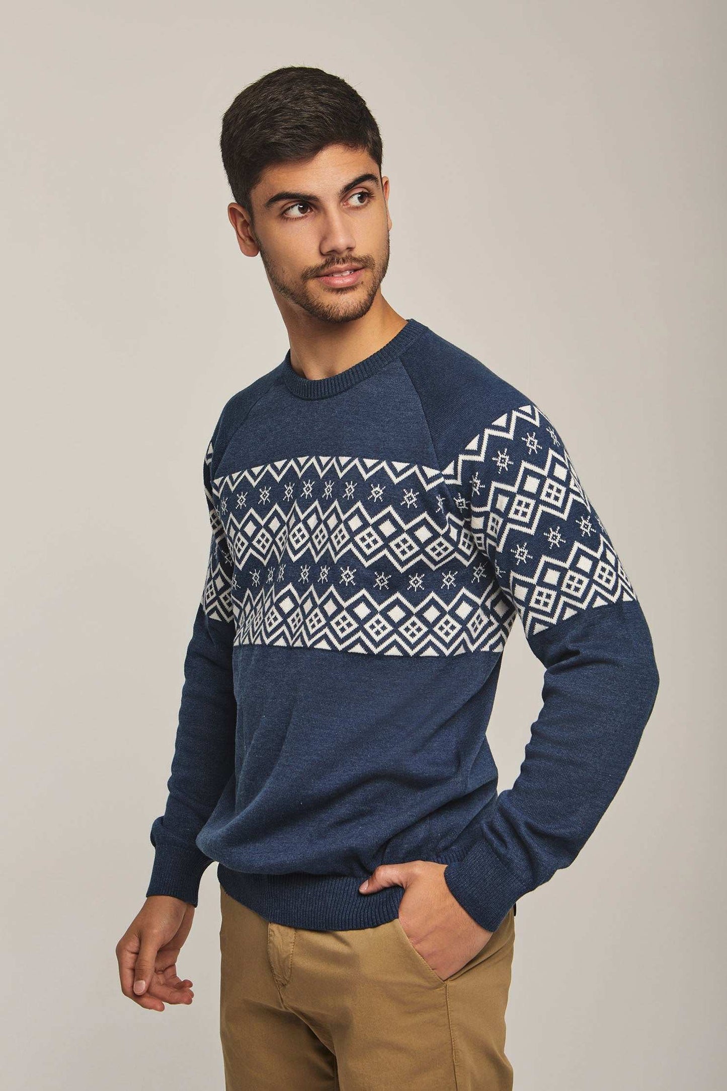 Men Regular Fit Pullover - Printed Multicolorcolor