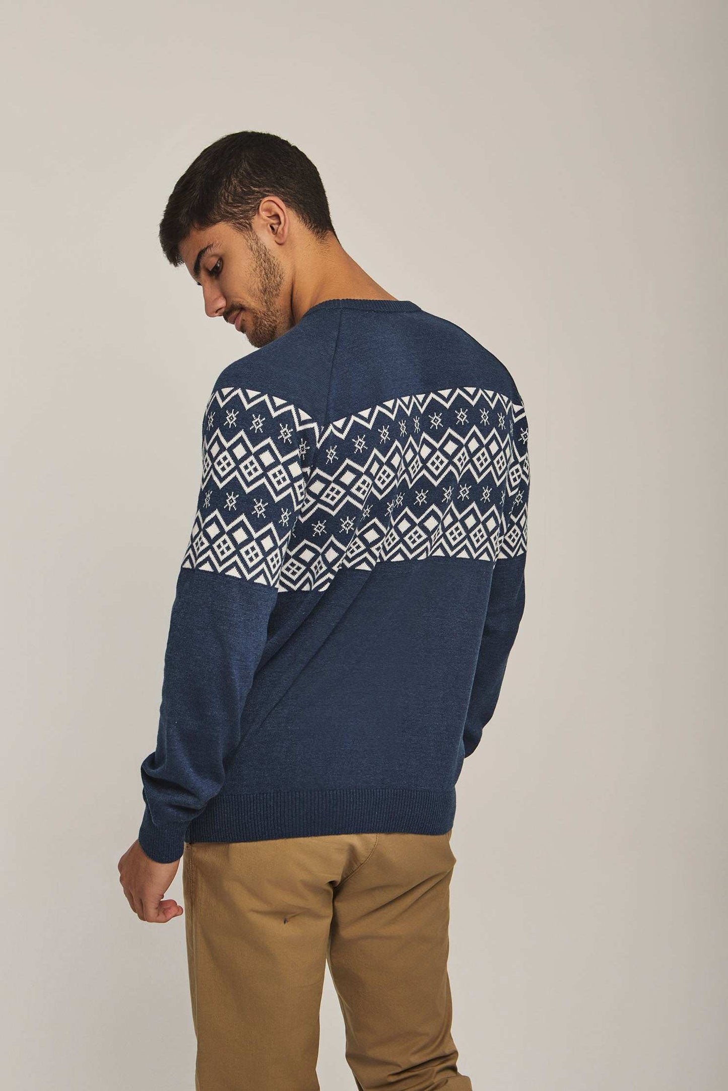 Men Regular Fit Pullover - Printed Multicolorcolor