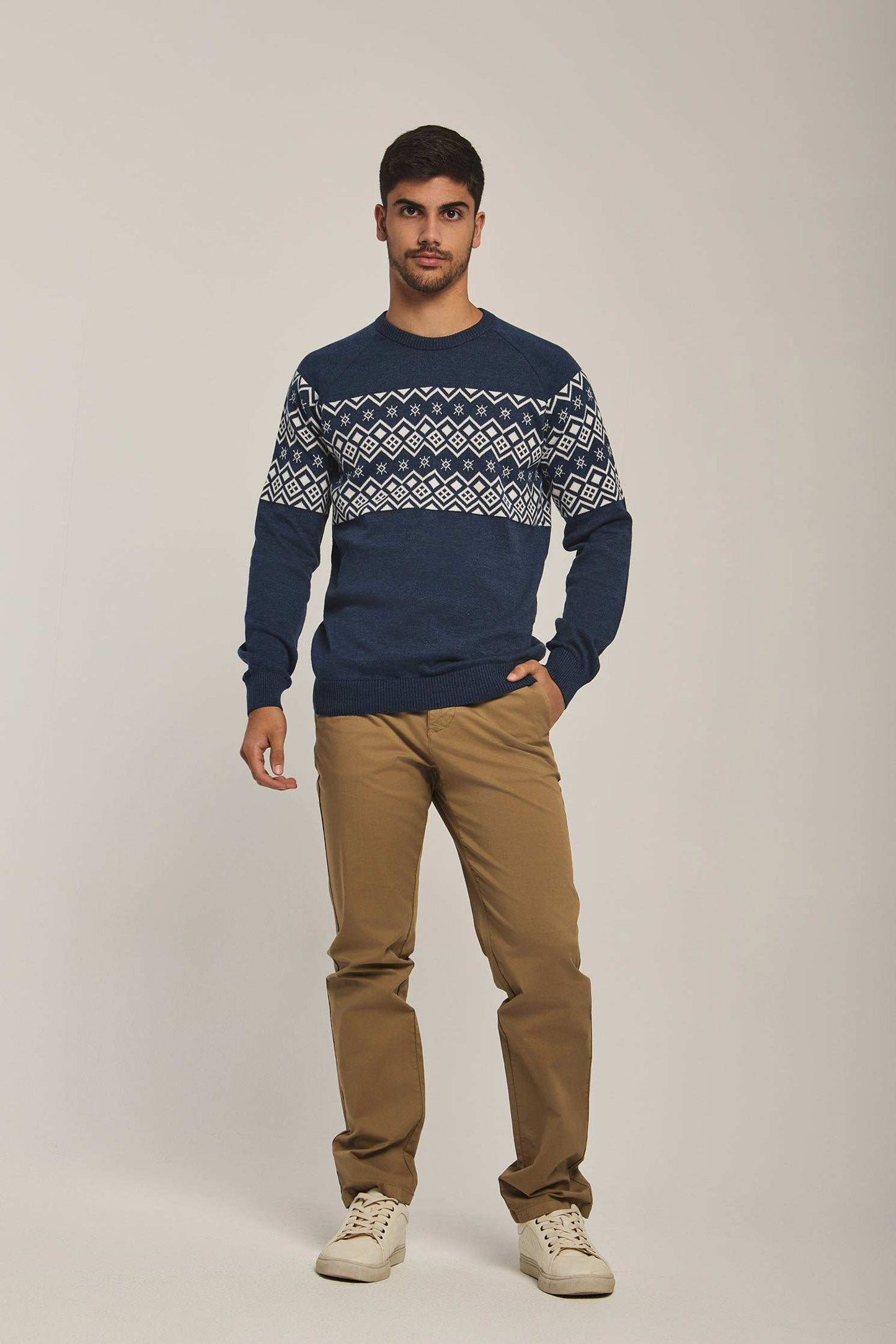Men Regular Fit Pullover - Printed Multicolorcolor