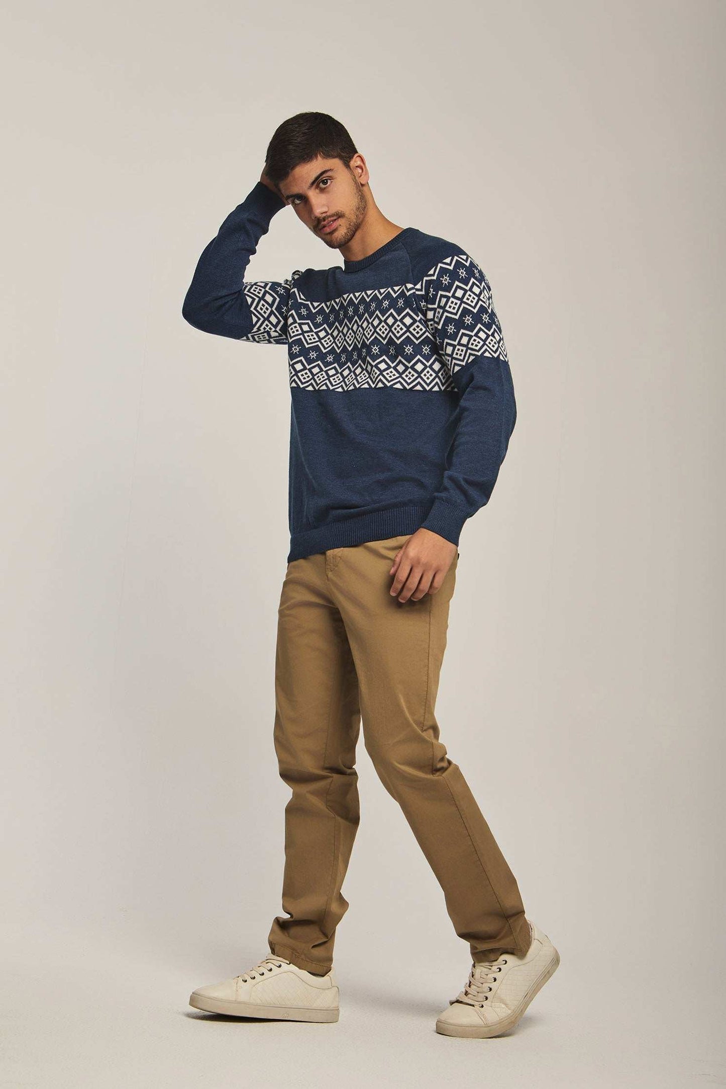 Men Regular Fit Pullover - Printed Multicolorcolor