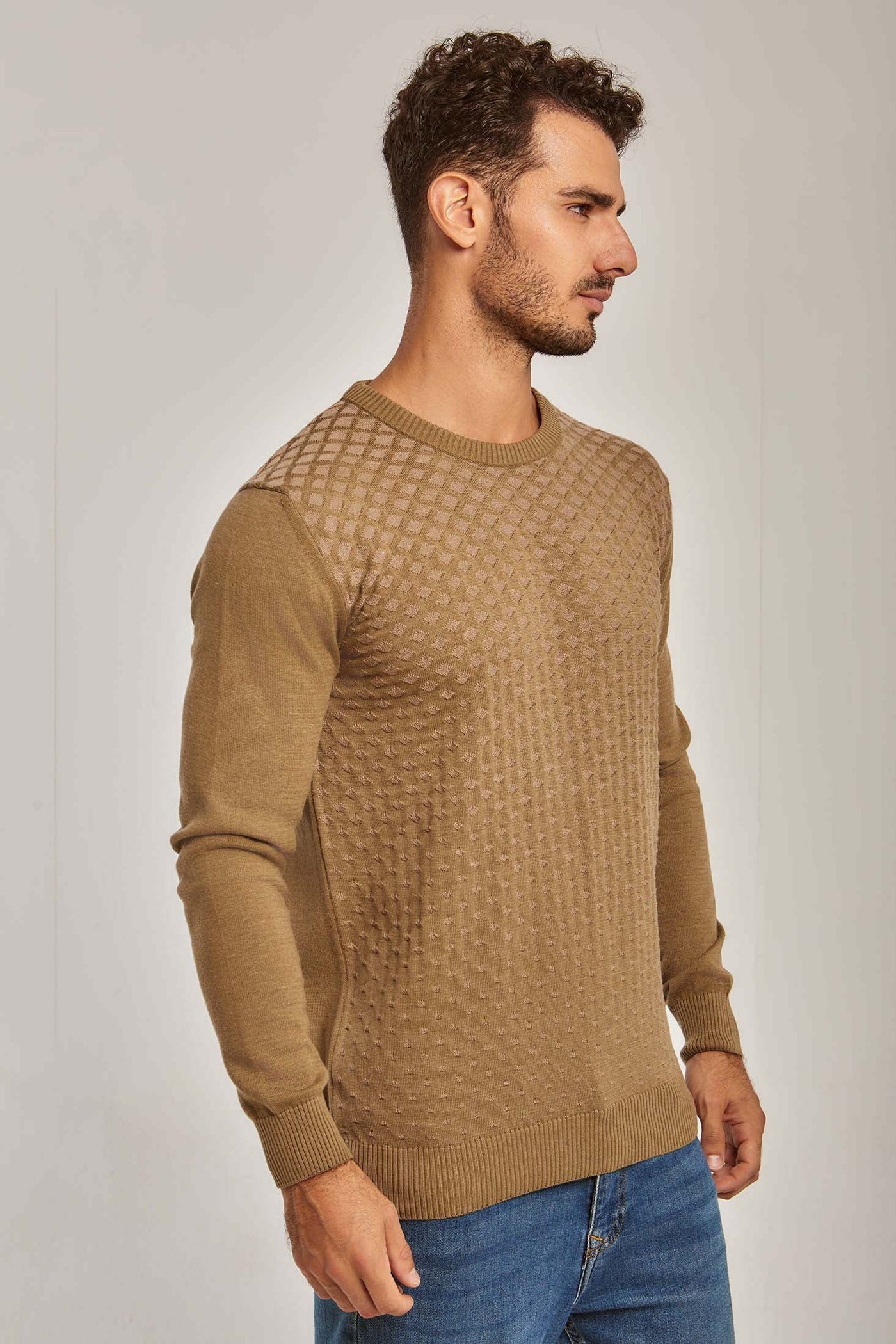 Men Jacquard Pullover - Cotton - Brown