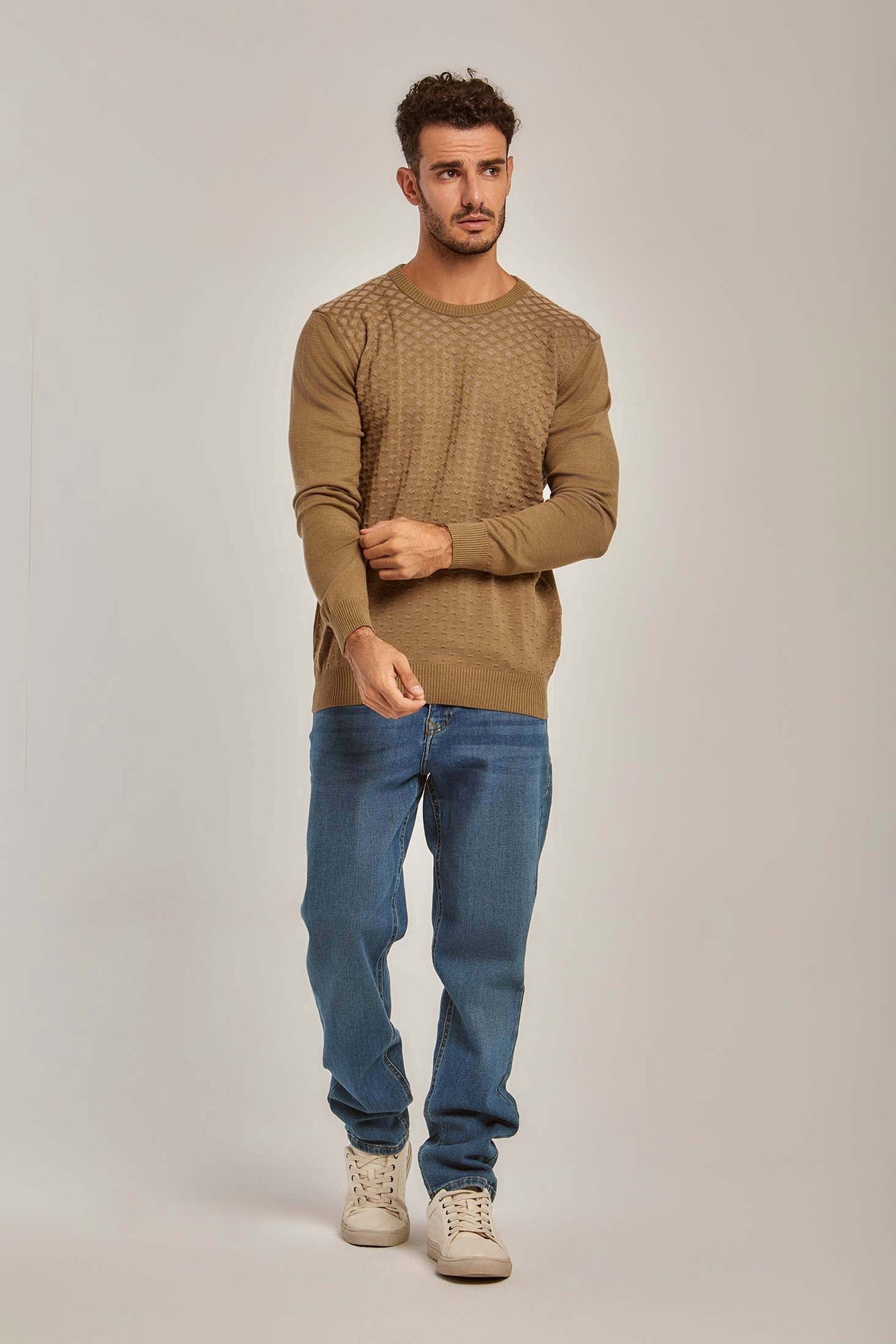 Men Jacquard Pullover - Cotton - Brown