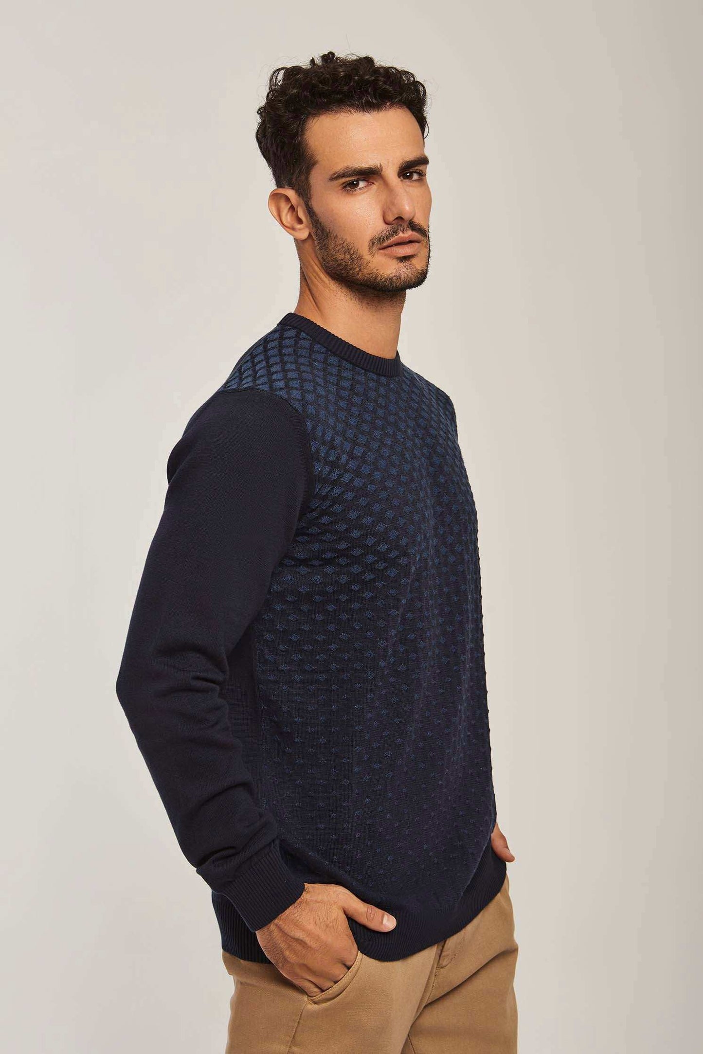 Men Regular Fit Pullover - Navy