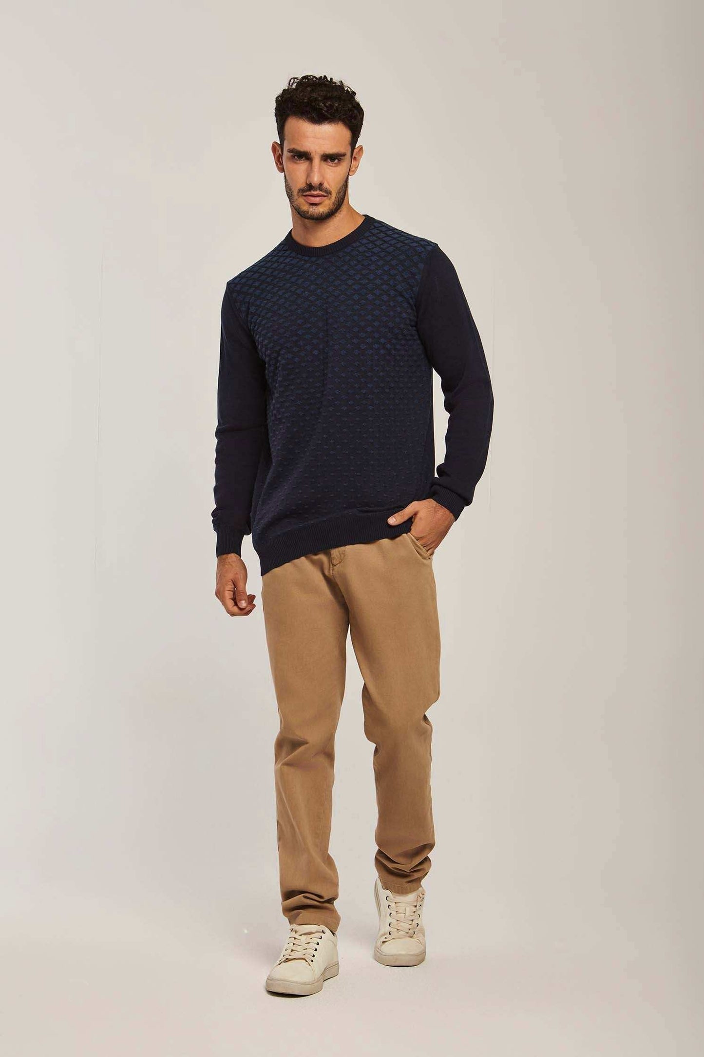 Men Regular Fit Pullover - Navy