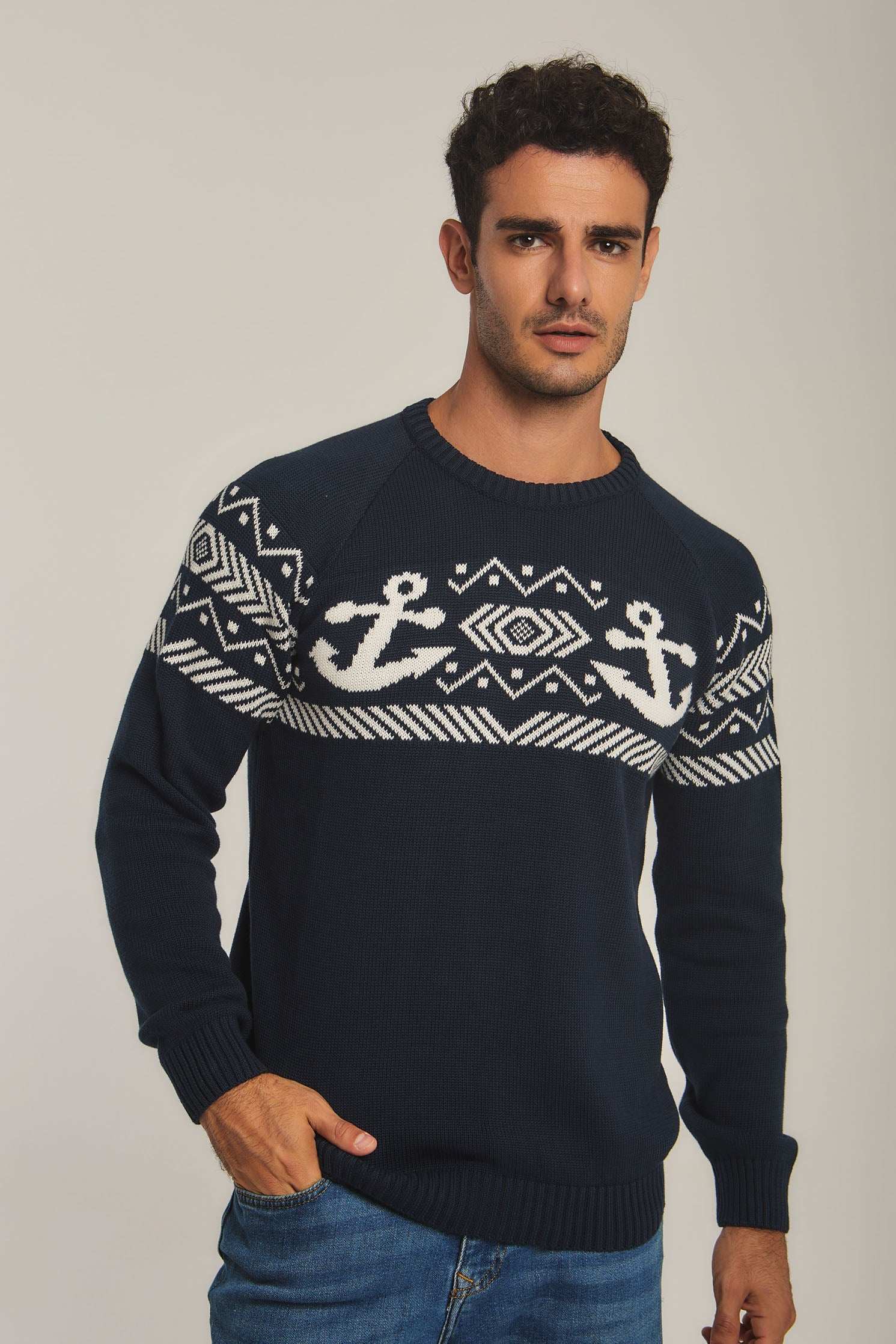 Men Regular Fit Pullover - Navy