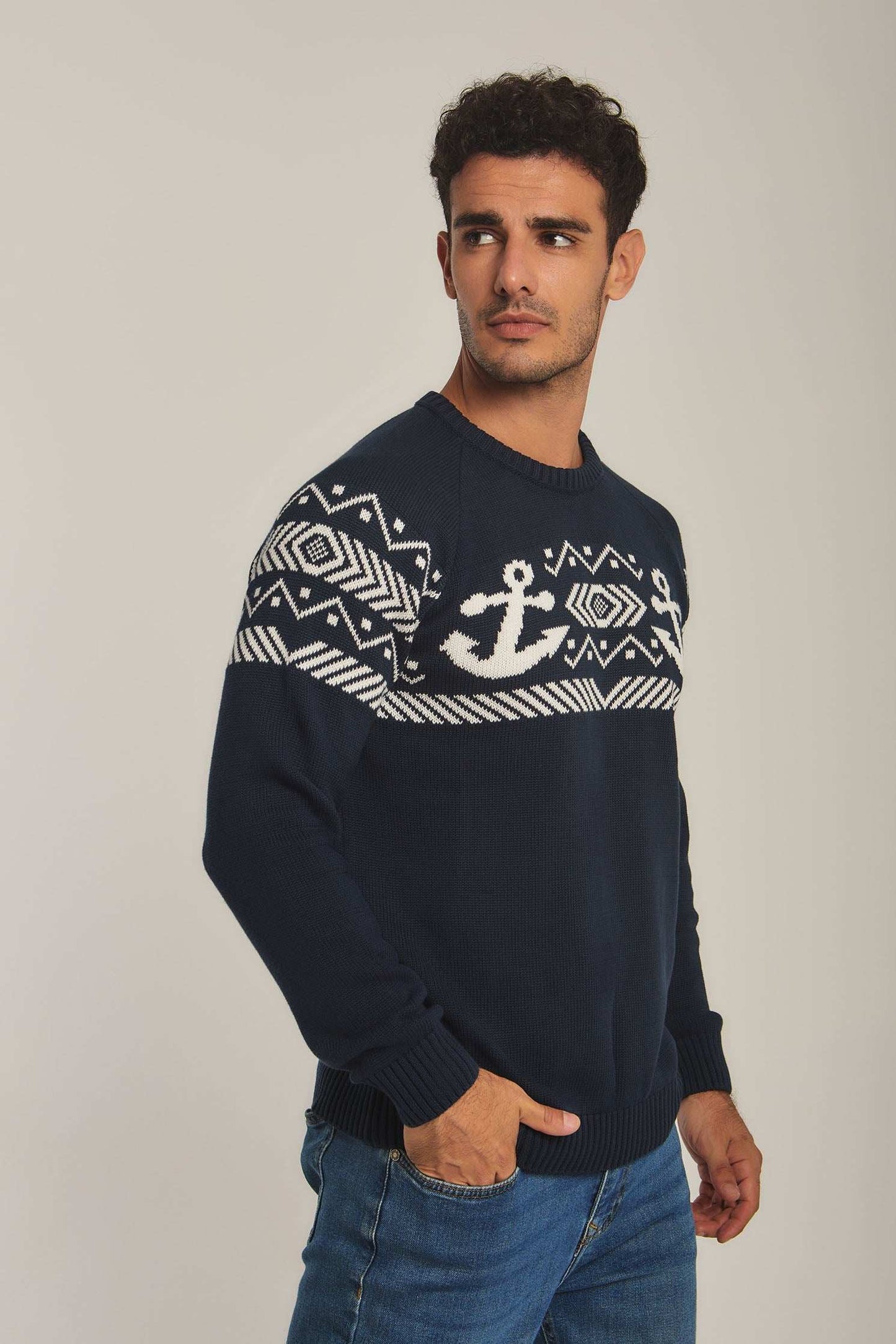 Men Regular Fit Pullover - Navy