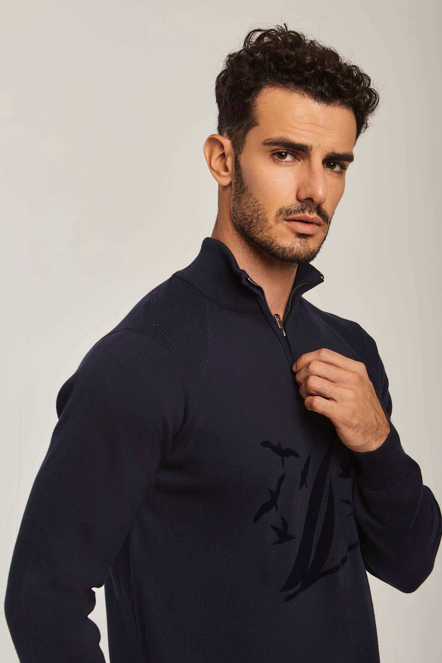 Men Regular Fit Pullover - Navy