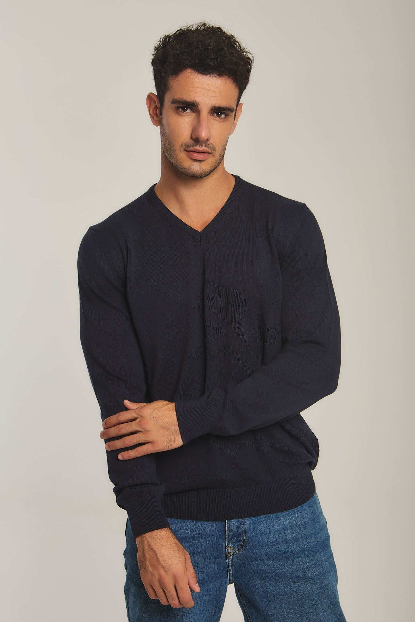 Men Regular Fit Pullover - Navy
