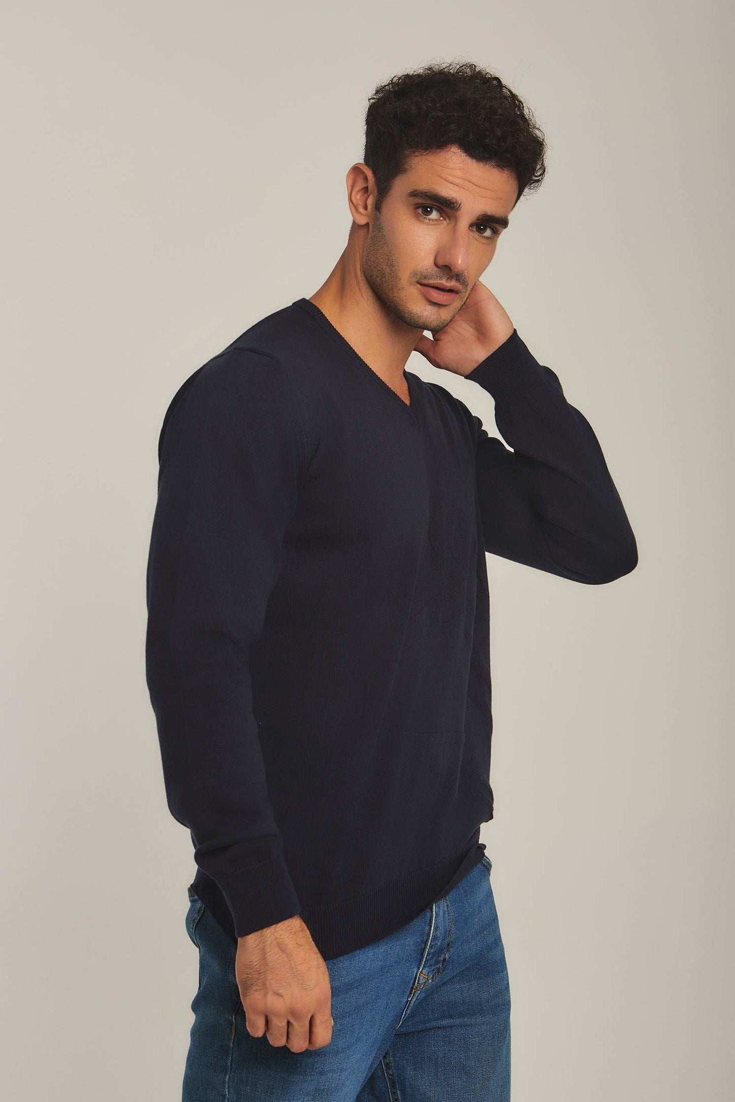 Men Regular Fit Pullover - Navy