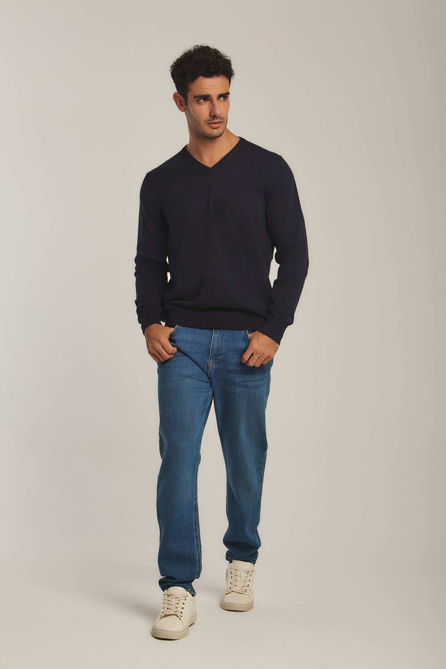 Men Regular Fit Pullover - Navy