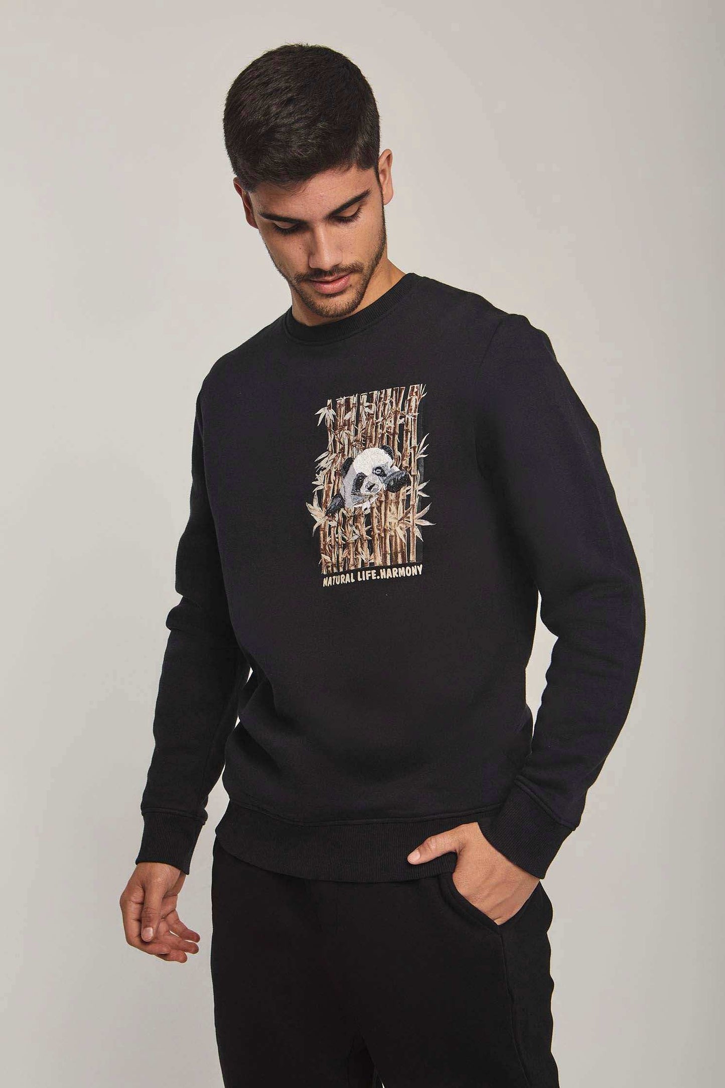 Men Regular Fit Sweat Shirt - Black