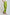 Women Regular Fit Pant - Multicolorcolor
