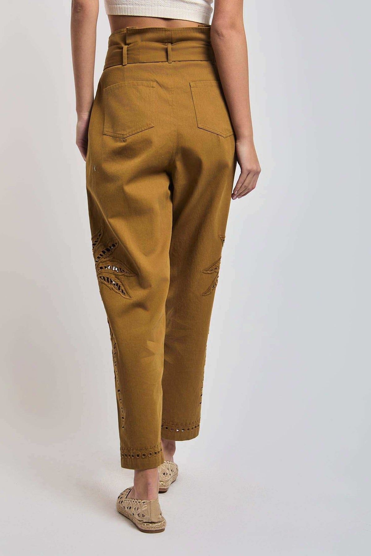 Women Regular Fit Pant - Brown