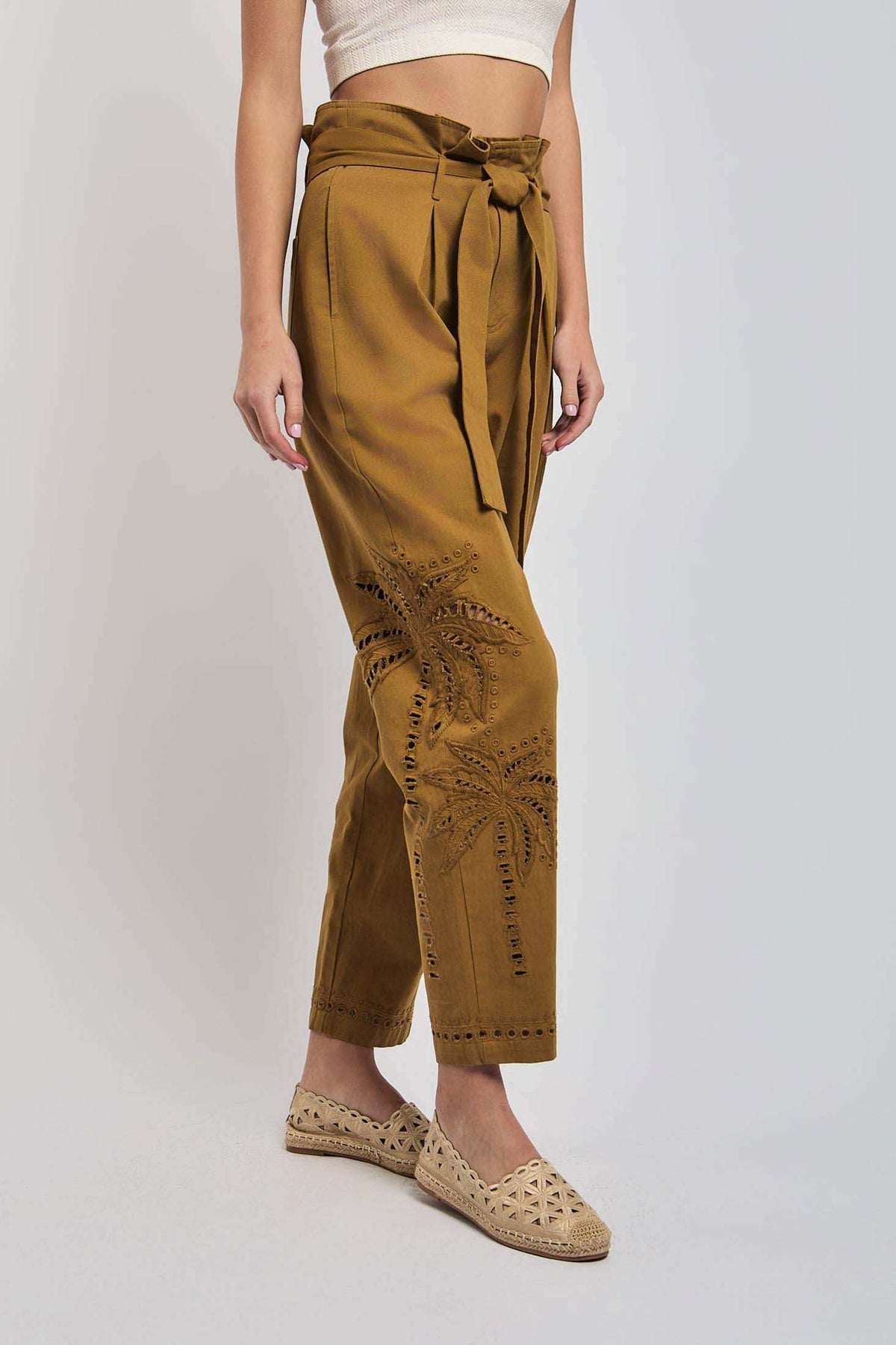 Women Regular Fit Pant - Brown