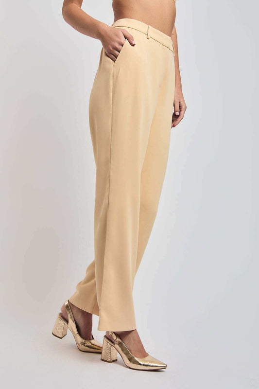 Women Regular Fit Pant - Brown