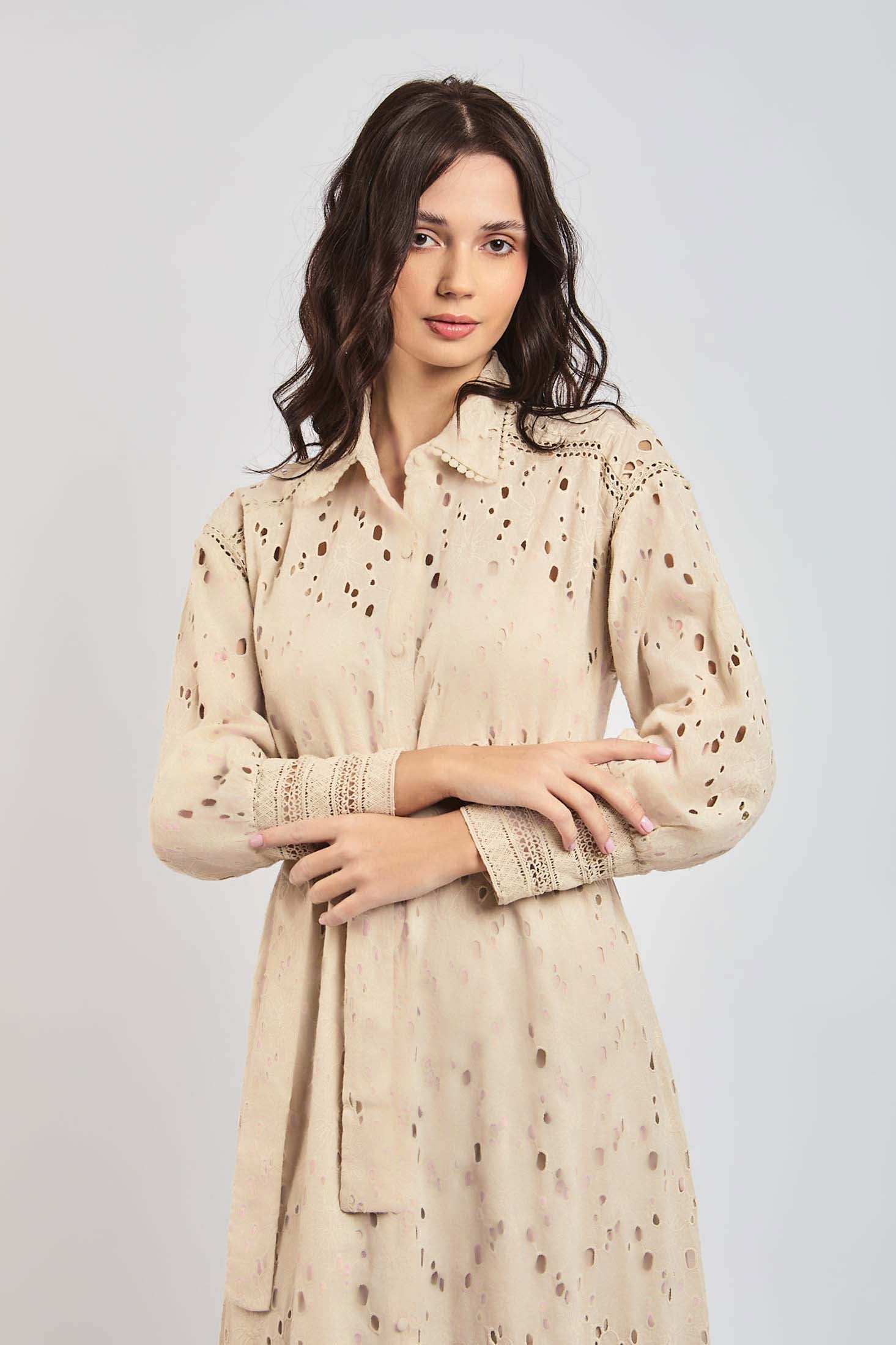 Women Regular Fit Dress - Brown