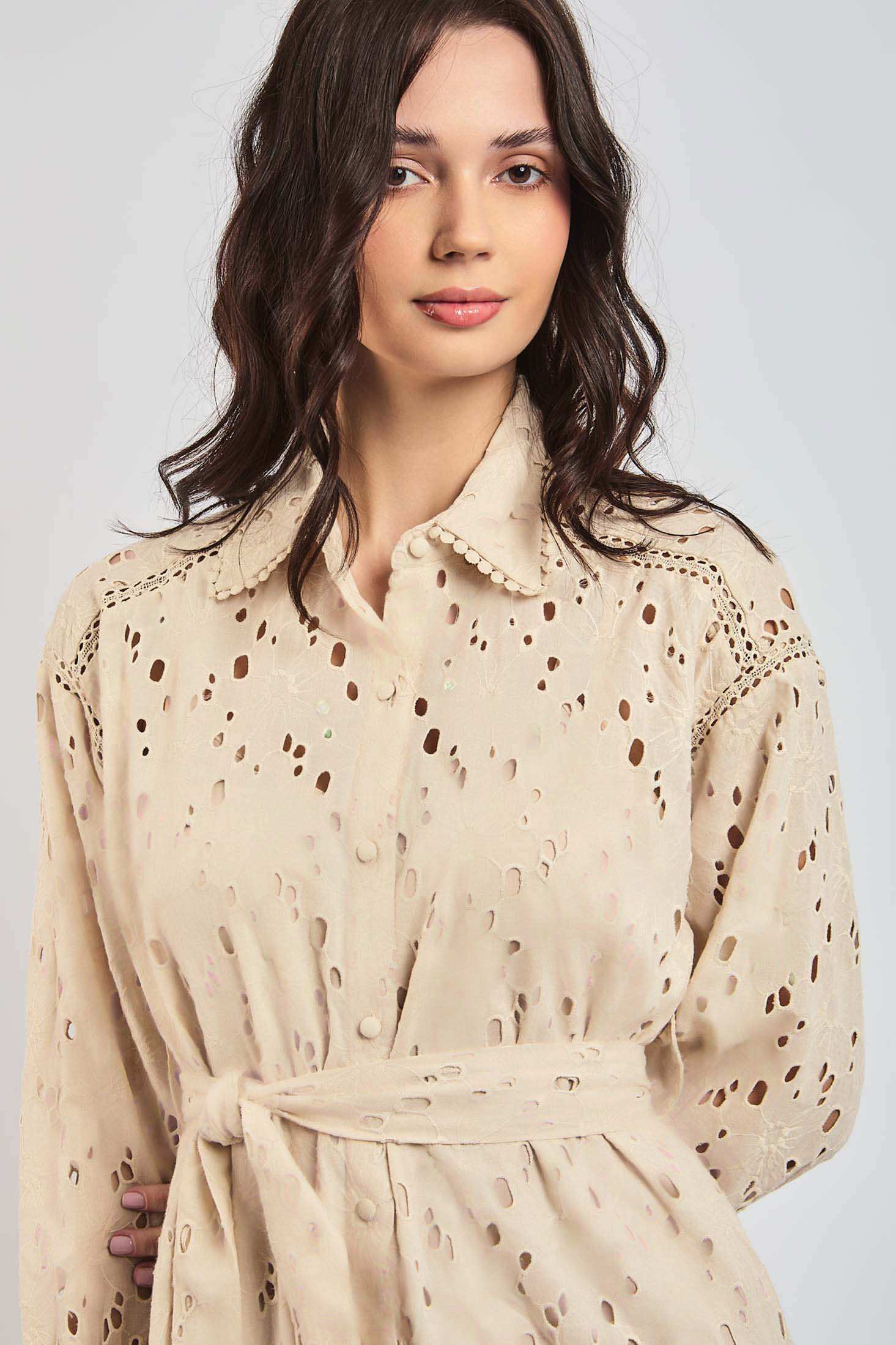 Women Regular Fit Dress - Brown