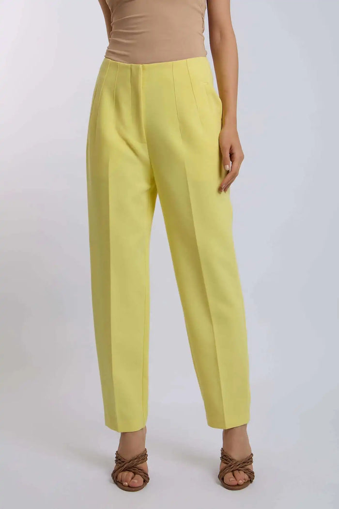 Women Regular Fit Pant