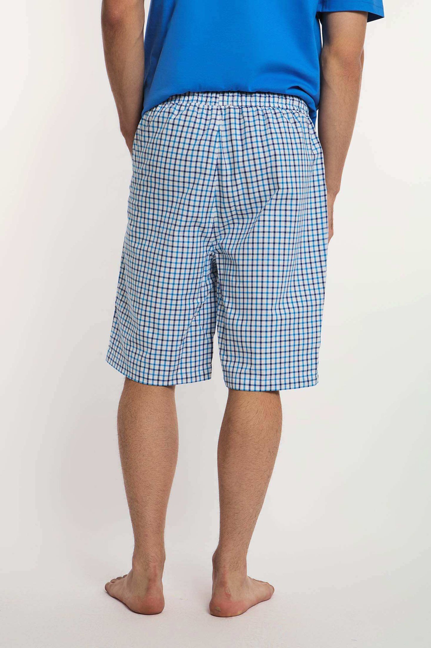 Dalydress men's blue and white checkered shorts, back view, casual summer wear