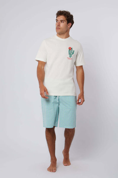 Men Regular Fit Pyjama - Multicolor