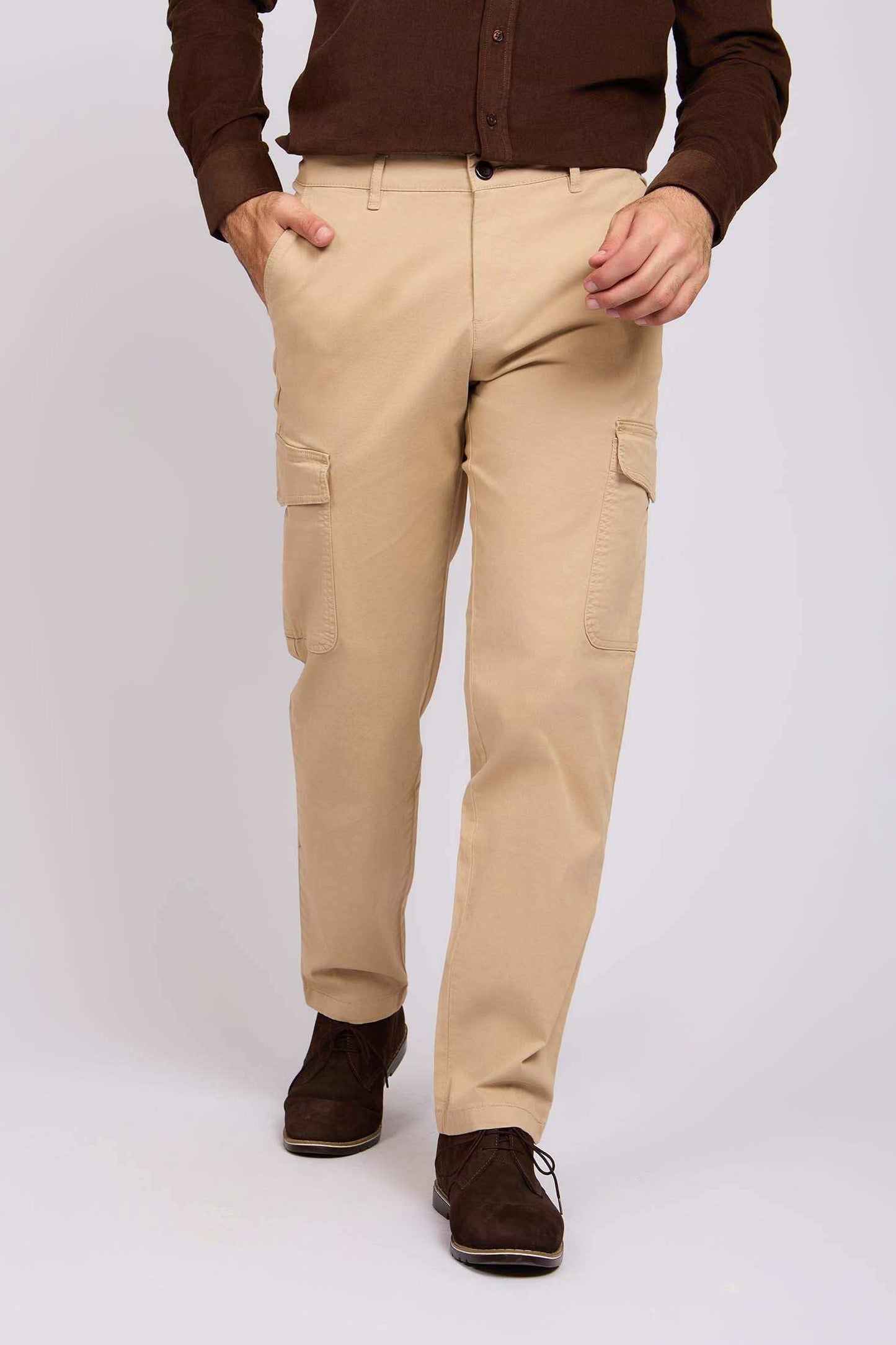 Men Regular Fit Pants Brown