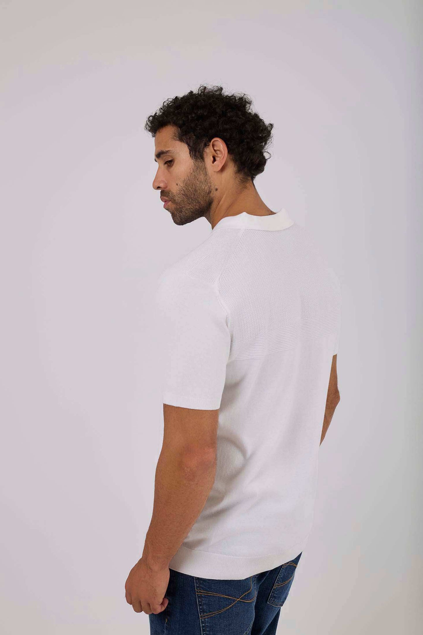 Men Regular Fit Polo - Blue