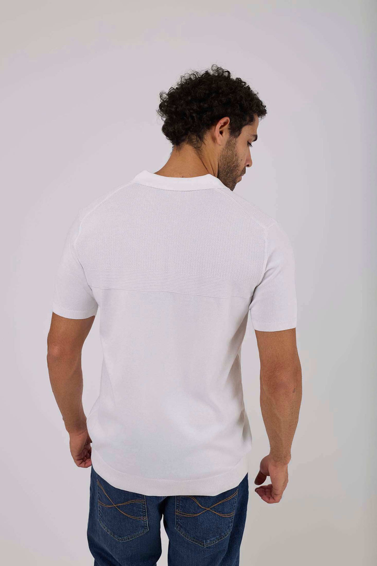 Men Regular Fit Polo - Blue